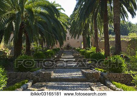 "Staircase to the Jardines de Alfabia, Majorca, Balearic Islands, Spain, Europe" View Large Photo Image Stock Image - "Staircase to the Jardines de Alfabia, Majorca, Balearic Islands, Spain, Europe". Fotosearch