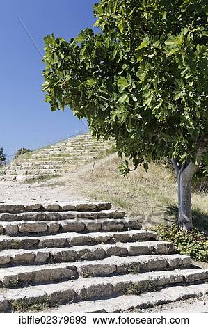 "Stairs at Troy, Truva, Canakkale, Marmara, Turkey, Asia" View Large Photo Image Stock Image - "Stairs at Troy, Truva, Canakkale, Marmara, Turkey, Asia". Fotosearch