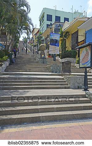"Stairs, Escalantina Diego Noboa in the Las Penas neighbourhood, for the climb to Cerro Santa Ana, Guayaquil, Ecuador, South America" View Large Photo Image Stock Photography - "Stairs, Escalantina Diego Noboa in the Las Penas neighbourhood, for the climb to Cerro Santa Ana, Guayaquil, Ecuador, South America". Fotosearch