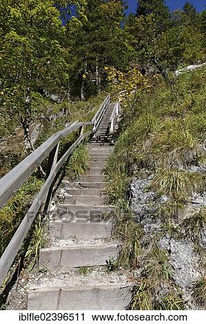Stock Image - "Stairs in the Wasserlochklamm gorge, Palfau, Liezen, Upper Styria, Styria, Austria, Europe". Fotosearch