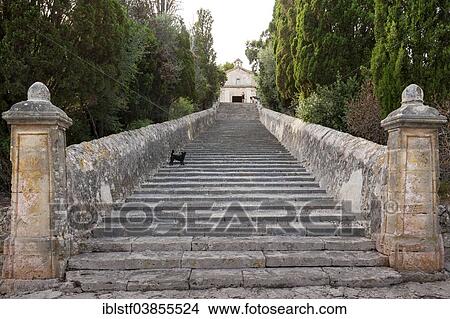 "Stairs to the Calvary with a dog, Pollenca, Majorca, Balearic Islands, Spain, Europe" View Large Photo Image Picture - "Stairs to the Calvary with a dog, Pollenca, Majorca, Balearic Islands, Spain, Europe". Fotosearch