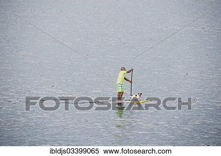 "Stand-up paddler with dog, L'Escala, Costa Brava, Catalonia, Spain, Europe" View Large Photo Image Stock Photography - "Stand-up paddler with dog, L'Escala, Costa Brava, Catalonia, Spain, Europe". Fotosearch