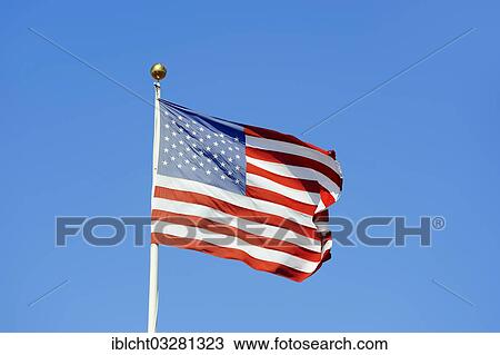 "Stars and stripes, flag of the USA, Florida, United States, North America" View Large Photo Image Stock Image - "Stars and stripes, flag of the USA, Florida, United States, North America". Fotosearch