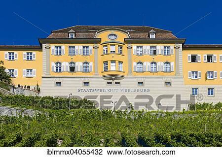 "State Winery Meersburg, Meersburg, Bavaria, Germany, Europe" View Large Photo Image Stock Image - "State Winery Meersburg, Meersburg, Bavaria, Germany, Europe". Fotosearch