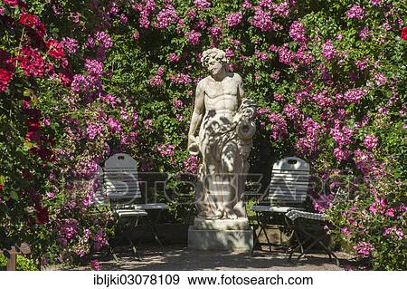 "Statue of a God in the Rose Garden, Rosenneuheitengarten on Beutig, Schwarzwald, Baden-Baden, Baden-Wurttemberg, Germany, Europe" View Large Photo Image Stock Photo - "Statue of a God in the Rose Garden, Rosenneuheitengarten on Beutig, Schwarzwald, Baden-Baden, Baden-Wurttemberg, Germany, Europe". Fotosearch