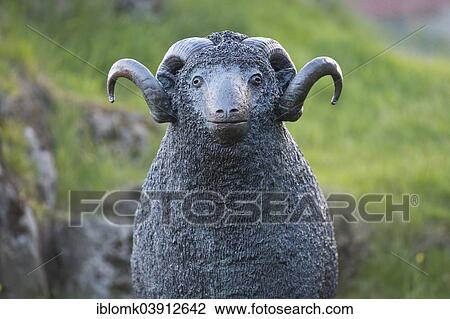 "Statue of a ram, heraldic animal of the Faroe Islands, Torshavn, Streymoy, Faroe Islands, Denmark, Europe" View Large Photo Image Stock Image - "Statue of a ram, heraldic animal of the Faroe Islands, Torshavn, Streymoy, Faroe Islands, Denmark, Europe". Fotosearch
