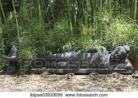 "Statue of a reclining Buddha, Les Bambous du Mandarin bamboo forest, Departement Var, Provence-Alpes-Cote d’Azur, France, Europe" View Large Photo Image Stock Photo - "Statue of a reclining Buddha, Les Bambous du Mandarin bamboo forest, Departement Var, Provence-Alpes-Cote d’Azur, France, Europe". Fotosearch