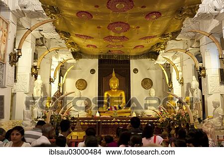 "Statue of Buddha, Buddhist shrine, Sri Dalada Maligawa, Temple of the Tooth in Kandy, Kandy, Sri Lanka, Asia" View Large Photo Image Picture - "Statue of Buddha, Buddhist shrine, Sri Dalada Maligawa, Temple of the Tooth in Kandy, Kandy, Sri Lanka, Asia". Fotosearch