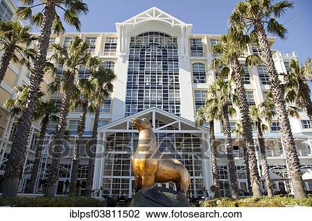 "Statue of Oscar the Seal in front of the Table Bay Hotel, Victoria and Alfred Waterfront, Cape Town, Western Cape, South Africa, Africa" View Large Photo Image Stock Image - "Statue of Oscar the Seal in front of the Table Bay Hotel, Victoria and Alfred Waterfront, Cape Town, Western Cape, South Africa, Africa". Fotosearch