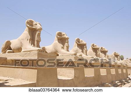 Picture - "Statues, Karnak Temple Complex, UNESCO World Heritage site, Thebes, Luxor, Luxor Governorate, Egypt, Africa". Fotosearch