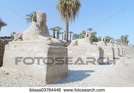 Stock Photograph - "Statues, Luxor Temple, UNESCO World Heritage site, Thebes, Luxor, Luxor Governorate, Egypt, Africa". Fotosearch