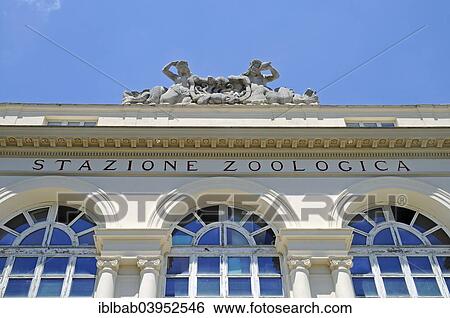 "Stazione Zoologica, Zoological Station, Biological Research Institute, L'Acquario, Maritime Museum, Naples, Campania, Italy, Europe" View Large Photo Image Stock Photograph - "Stazione Zoologica, Zoological Station, Biological Research Institute, L'Acquario, Maritime Museum, Naples, Campania, Italy, Europe". Fotosearch