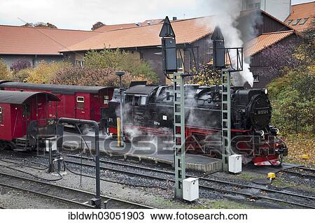 "Steam locomotive of the Harz Narrow Gauge Railways, Brocken Railway in the station, Harz, Wernigerode, Saxony-Anhalt, Germany, Europe" View Large Photo Image Stock Image - "Steam locomotive of the Harz Narrow Gauge Railways, Brocken Railway in the station, Harz, Wernigerode, Saxony-Anhalt, Germany, Europe". Fotosearch