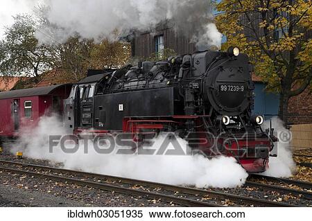"Steam locomotive of the Harz Narrow Gauge Railways, Brocken Railway, Harz, Wernigerode, Saxony-Anhalt, Germany, Europe" View Large Photo Image Stock Photography - "Steam locomotive of the Harz Narrow Gauge Railways, Brocken Railway, Harz, Wernigerode, Saxony-Anhalt, Germany, Europe". Fotosearch