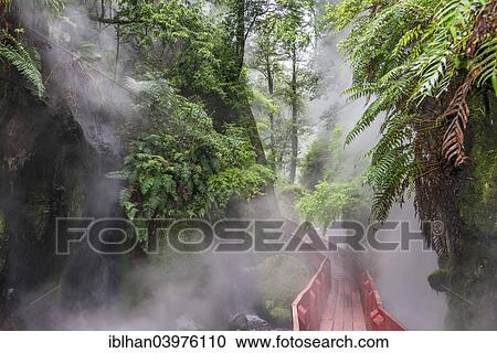 "Steaming hot springs in the gorge of the Termas Geometricas, Panguipulli, Region de Los Rios, Chile, South America" View Large Photo Image Stock Image - "Steaming hot springs in the gorge of the Termas Geometricas, Panguipulli, Region de Los Rios, Chile, South America". Fotosearch