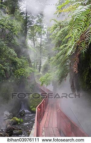 "Steaming hot springs in the gorge of the Termas Geometricas, Panguipulli, Region de Los Rios, Chile, South America" View Large Photo Image Stock Image - "Steaming hot springs in the gorge of the Termas Geometricas, Panguipulli, Region de Los Rios, Chile, South America". Fotosearch