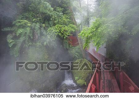 Stock Photography - "Steaming hot springs in the gorge of the Termas Geometricas, Panguipulli, Region de Los Rios, Chile, South America". Fotosearch
