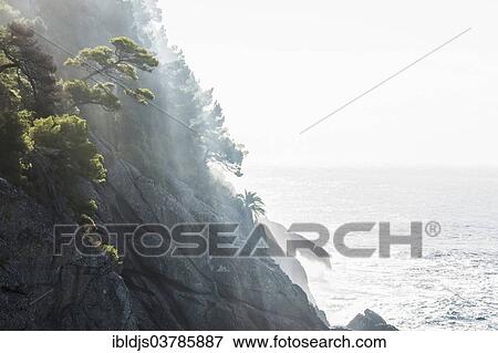 "Steep coast, Portofino, Genoa Province, Liguria, Italy, Europe" View Large Photo Image Stock Photo - "Steep coast, Portofino, Genoa Province, Liguria, Italy, Europe". Fotosearch
