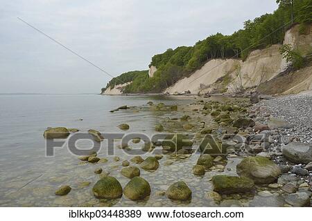 Stock Photo - "Steep coast with chalk cliffs at sunrise, broken rocks and trees, Jasmund National Park, Dranske, Rugen, Mecklenburg-Western Pomerania, Germany, Europe". Fotosearch