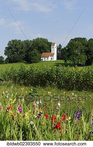 "Steinkirchen near Dachau, Upper Bavaria, Bavaria, Germany, Europe" View Large Photo Image Stock Image - "Steinkirchen near Dachau, Upper Bavaria, Bavaria, Germany, Europe". Fotosearch