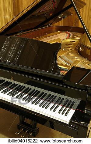 Steinway & Sons grand piano View Large Photo Image Stock Image - Steinway & Sons grand piano. Fotosearch
