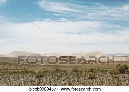 "Steppe and sand dunes of Khongoryn Els, Gobi Gurvansaikhan National Park, Gobi Desert, Southern Desert, Omnogovi Province, Mongolia, Asia" View Large Photo Image Stock Photo - "Steppe and sand dunes of Khongoryn Els, Gobi Gurvansaikhan National Park, Gobi Desert, Southern Desert, Omnogovi Province, Mongolia, Asia". Fotosearch