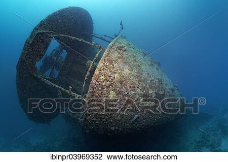 "Stern with gun deck, shipwreck of the SS Thistlegorm, Red Sea, Shaab Ali, Sinai Peninsula, Egypt, Africa" View Large Photo Image Stock Image - "Stern with gun deck, shipwreck of the SS Thistlegorm, Red Sea, Shaab Ali, Sinai Peninsula, Egypt, Africa". Fotosearch