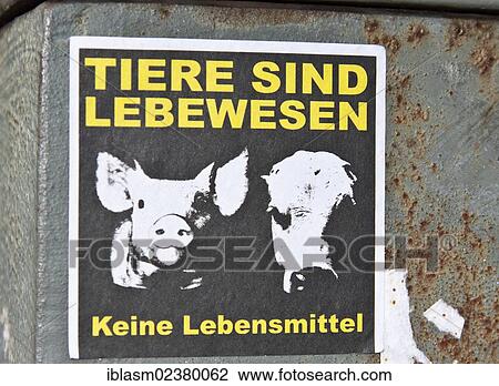 "Sticker """"Tiere sind Lebewesen - Keine Lebensmittel"""", German for """"animals are living beings not food"""", Berlin, Germany, Europe" View Large Photo Image Stock Image - "Sticker """"Tiere sind Lebewesen - Keine Lebensmittel"""", German for """"animals are living beings not food"""", Berlin, Germany, Europe". Fotosearch