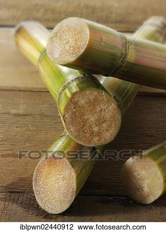 "Sticks of raw sugar cane, cut" View Large Photo Image Stock Image - "Sticks of raw sugar cane, cut". Fotosearch