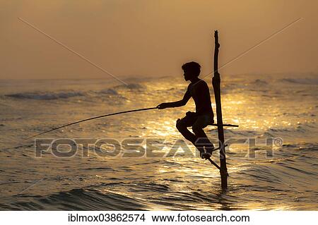 "Stilt fisherman fishing in shallow water, at dusk, at Galle, Pettigalawatta region, Southern Province, Sri Lanka, Asia" View Large Photo Image Picture - "Stilt fisherman fishing in shallow water, at dusk, at Galle, Pettigalawatta region, Southern Province, Sri Lanka, Asia". Fotosearch