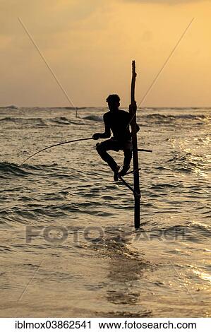 "Stilt fisherman fishing in shallow water, at dusk, at Galle, Pettigalawatta region, Southern Province, Sri Lanka, Asia" View Large Photo Image Stock Image - "Stilt fisherman fishing in shallow water, at dusk, at Galle, Pettigalawatta region, Southern Province, Sri Lanka, Asia". Fotosearch