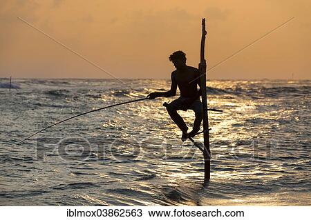 Stock Image - "Stilt fisherman fishing in shallow water, at dusk, at Galle, Pettigalawatta region, Southern Province, Sri Lanka, Asia". Fotosearch