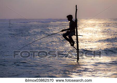 "Stilt fisherman fishing in shallow water, at dusk, at Galle, Pettigalawatta region, Southern Province, Sri Lanka, Asia" View Large Photo Image Stock Image - "Stilt fisherman fishing in shallow water, at dusk, at Galle, Pettigalawatta region, Southern Province, Sri Lanka, Asia". Fotosearch