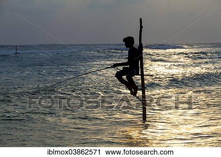 "Stilt fisherman fishing in shallow water, at dusk, at Galle, Pettigalawatta region, Southern Province, Sri Lanka, Asia" View Large Photo Image Stock Image - "Stilt fisherman fishing in shallow water, at dusk, at Galle, Pettigalawatta region, Southern Province, Sri Lanka, Asia". Fotosearch