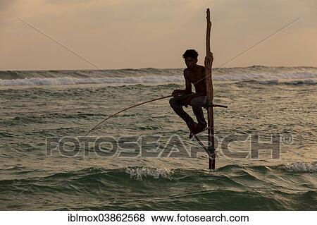 "Stilt fisherman fishing in shallow water, at dusk, at Galle, Pettigalawatta region, Southern Province, Sri Lanka, Asia" View Large Photo Image Stock Photo - "Stilt fisherman fishing in shallow water, at dusk, at Galle, Pettigalawatta region, Southern Province, Sri Lanka, Asia". Fotosearch