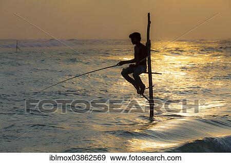 "Stilt fisherman fishing in shallow water, at dusk, at Galle, Pettigalawatta region, Southern Province, Sri Lanka, Asia" View Large Photo Image Stock Photo - "Stilt fisherman fishing in shallow water, at dusk, at Galle, Pettigalawatta region, Southern Province, Sri Lanka, Asia". Fotosearch