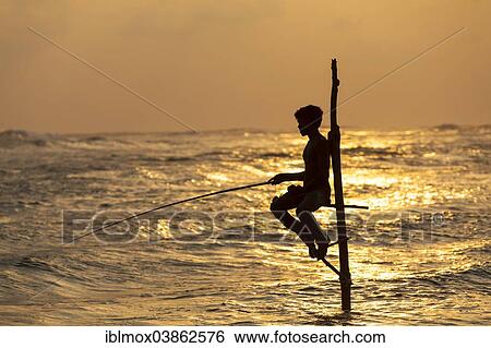 "Stilt fisherman fishing in shallow water, at dusk, at Galle, Pettigalawatta region, Southern Province, Sri Lanka, Asia" View Large Photo Image Stock Photograph - "Stilt fisherman fishing in shallow water, at dusk, at Galle, Pettigalawatta region, Southern Province, Sri Lanka, Asia". Fotosearch