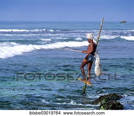 "Stilt fisherman, Weligama, Matara Distrikt, Sudprovinz, Sri Lanka, Asia" View Large Photo Image Picture - "Stilt fisherman, Weligama, Matara Distrikt, Sudprovinz, Sri Lanka, Asia". Fotosearch