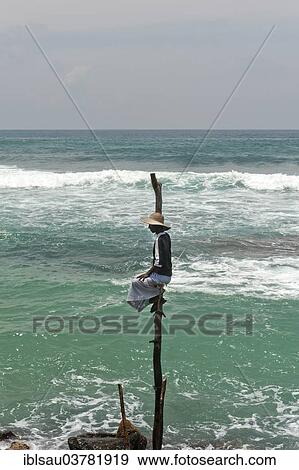 "Stilt fisherman, Weligama, Southern Province, Sri Lanka, Asia" View Large Photo Image Stock Photo - "Stilt fisherman, Weligama, Southern Province, Sri Lanka, Asia". Fotosearch