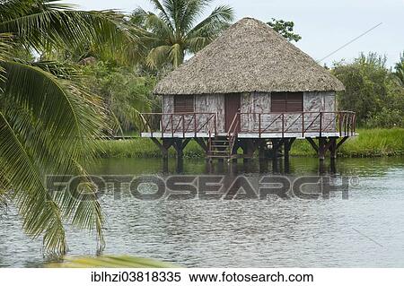 "Stilt house in the lake of Lago de Tesoro, Guama mangrove swamps, Santiago de Cuba Province, Cuba, North America" View Large Photo Image Stock Photography - "Stilt house in the lake of Lago de Tesoro, Guama mangrove swamps, Santiago de Cuba Province, Cuba, North America". Fotosearch