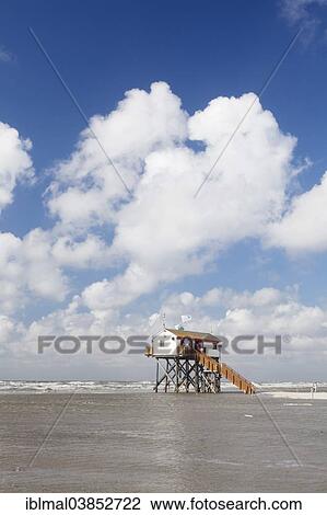 "Stilt house on the beach at high tide, St. Peter-Ording, Eiderstedt, Schleswig-Holstein, Germany, Europe" View Large Photo Image Stock Image - "Stilt house on the beach at high tide, St. Peter-Ording, Eiderstedt, Schleswig-Holstein, Germany, Europe". Fotosearch