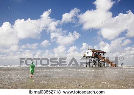 "Stilt house on the beach at high tide, St. Peter-Ording, Eiderstedt, Schleswig-Holstein, Germany, Europe" View Large Photo Image Stock Photo - "Stilt house on the beach at high tide, St. Peter-Ording, Eiderstedt, Schleswig-Holstein, Germany, Europe". Fotosearch