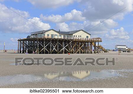 "Stilt house with Strandbar 54 beach club on the beach of St. Peter-Ording, Eiderstedt, Schleswig-Holstein, Germany, Europe" View Large Photo Image Stock Image - "Stilt house with Strandbar 54 beach club on the beach of St. Peter-Ording, Eiderstedt, Schleswig-Holstein, Germany, Europe". Fotosearch