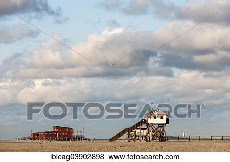 "Stilt houses in the morning light, Sankt Peter-Ording, Eiderstedt, North Frisia, Schleswig-Holstein, Germany, Europe" View Large Photo Image Stock Photo - "Stilt houses in the morning light, Sankt Peter-Ording, Eiderstedt, North Frisia, Schleswig-Holstein, Germany, Europe". Fotosearch