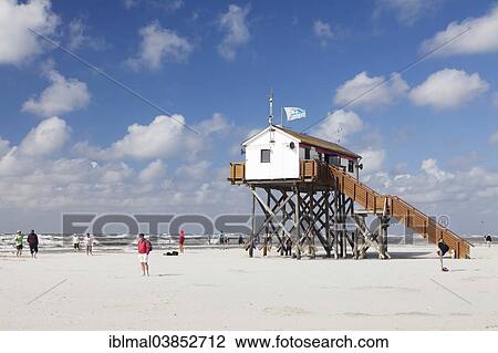 "Stilt on the beach of St. Peter-Ording, eiderstedt, Schleswig-Holstein, Germany, Europe" View Large Photo Image Stock Image - "Stilt on the beach of St. Peter-Ording, eiderstedt, Schleswig-Holstein, Germany, Europe". Fotosearch