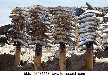 "Stockfish being grilled over an open fire, Playa de Santa Ana beach, Benalmadena, Malaga province, Costa del Sol, Andalusia, Spain, Europe, PublicGround, Europe" View Large Photo Image Stock Photo - "Stockfish being grilled over an open fire, Playa de Santa Ana beach, Benalmadena, Malaga province, Costa del Sol, Andalusia, Spain, Europe, PublicGround, Europe". Fotosearch