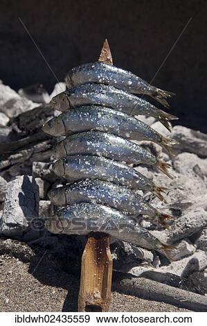 "Stockfish being grilled over an open fire, Playa de Santa Ana beach, Benalmadena, Malaga province, Costa del Sol, Andalusia, Spain, Europe, PublicGround, Europe" View Large Photo Image Stock Photo - "Stockfish being grilled over an open fire, Playa de Santa Ana beach, Benalmadena, Malaga province, Costa del Sol, Andalusia, Spain, Europe, PublicGround, Europe". Fotosearch