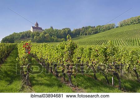 "Stocksberg Castle, Stockheim, Brackenheim, Baden-Wurttemberg, Germany, Europe" View Large Photo Image Stock Image - "Stocksberg Castle, Stockheim, Brackenheim, Baden-Wurttemberg, Germany, Europe". Fotosearch