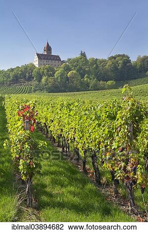 Stock Image - "Stocksberg Castle, Stockheim, Brackenheim, Baden-Wurttemberg, Germany, Europe". Fotosearch