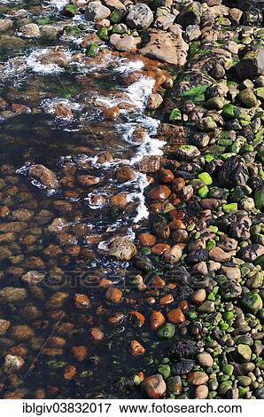 "Stone beach at Stoer Head, Sutherland, Highlands, Scotland, United Kingdom, Europe" View Large Photo Image Stock Photo - "Stone beach at Stoer Head, Sutherland, Highlands, Scotland, United Kingdom, Europe". Fotosearch